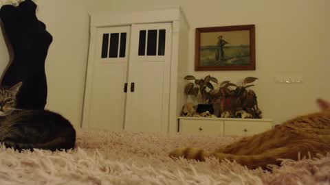 Snapshot of visceratio chatting on 02/10/25, 06:24 Visceratio online show from 02/10/25, 06:24