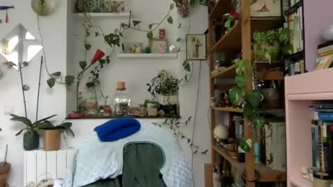 Viv online show from 12/03/24, 09:33