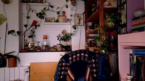 Viv online show from 12/27/24, 08:18