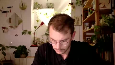 Viv online show from 01/15/25, 09:30