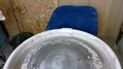 Viv online show from 01/31/25, 11:13