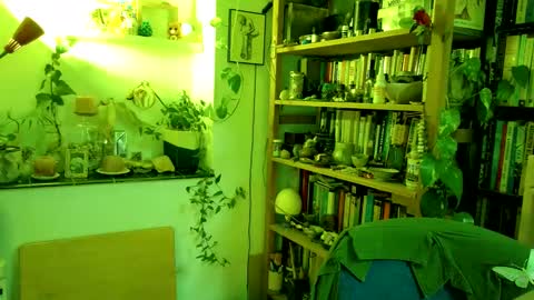 Viv online show from 03/02/25, 04:10