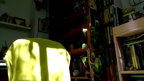 Viv online show from 10/27/25, 12:09