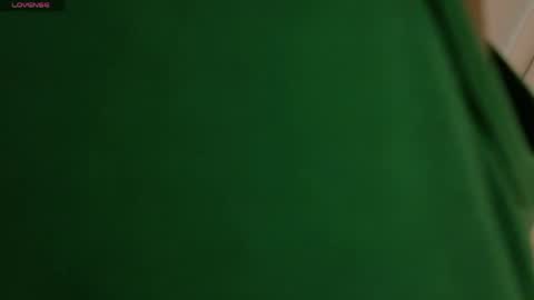 Snapshot of vixen_flutter chatting on 04/01/26, 11:44 Vixen online show from 04/01/26, 11:44
