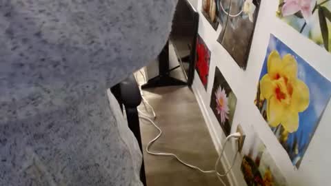 Vixen Fyre online show from 12/12/24, 05:59