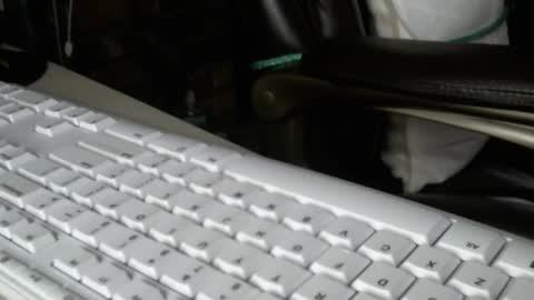 vnpg92 online show from 12/13/25, 08:14