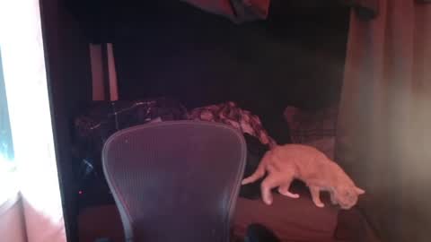 Rev online show from 04/27/26, 06:06