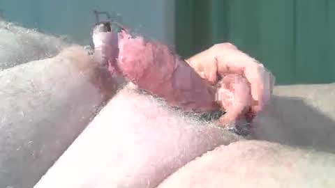 vukavuka99 online show from 03/02/26, 09:21