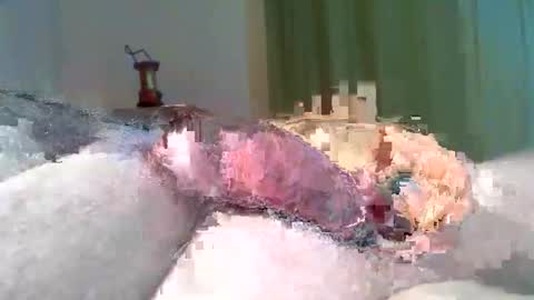 vukavuka99 online show from 03/08/26, 09:29