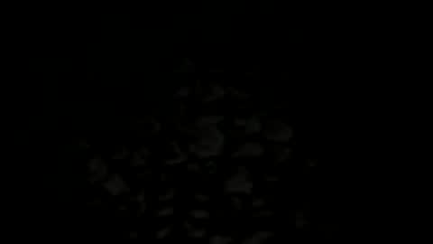 Snapshot of w2456 chatting on 11/25/25, 11:38 w2456 online show from 11/25/25, 11:38