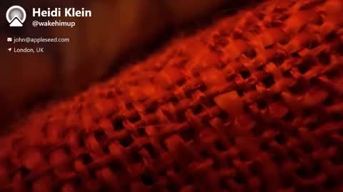 wakehimup online show from 11/01/25, 03:58