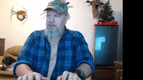 walkingbird online show from 12/21/24, 09:36