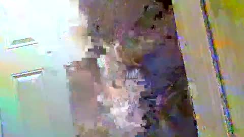 Walter online show from 12/09/24, 10:43