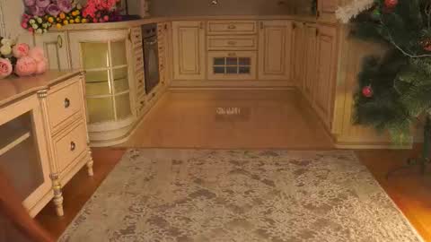 hello guys im Lilian online show from 01/12/26, 03:12