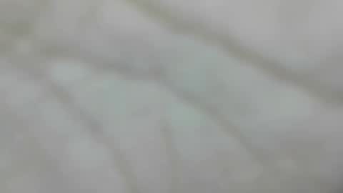 Snapshot of wangi_wangi chatting on 01/10/26, 04:31 wangi_wangi online show from 01/10/26, 04:31