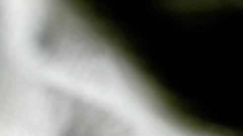 Snapshot of wangi_wangi chatting on 02/18/26, 06:48 wangi_wangi online show from 02/18/26, 06:48