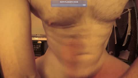 wappyflanker online show from 12/11/24, 02:54