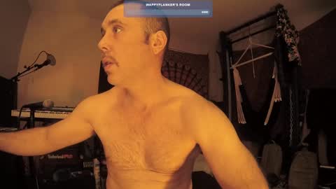 wappyflanker online show from 12/29/24, 04:16