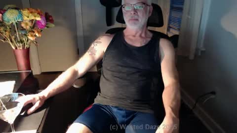 Snapshot of wasted_daze_ chatting on 02/27/25, 11:37 wasted_daze_ online show from 02/27/25, 11:37