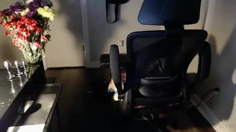 Snapshot of wasted_daze_ chatting on 10/25/25, 10:34 wasted_daze_ online show from 10/25/25, 10:34