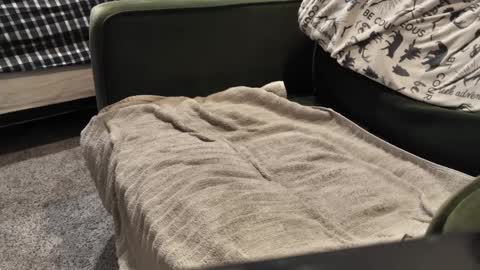 Snapshot of watcher950585 chatting on 01/03/25, 09:57 Daddy online show from 01/03/25, 09:57