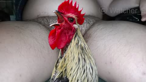 classified online show from 12/08/24, 08:15