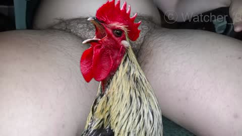 classified online show from 12/29/24, 01:34