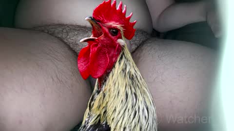 classified online show from 10/07/25, 08:17