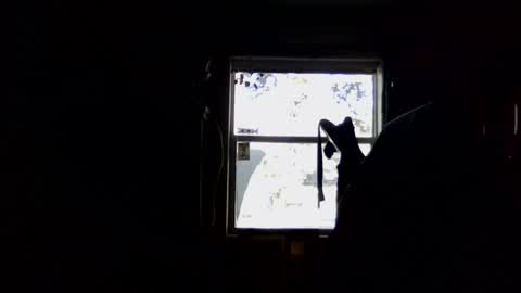 waterfire420 online show from 01/05/25, 04:59