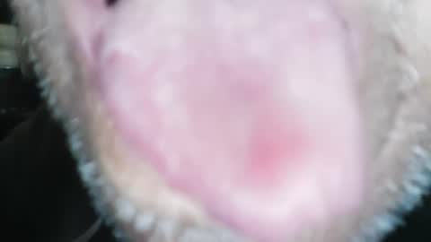 wayne1311 online show from 01/23/25, 04:26