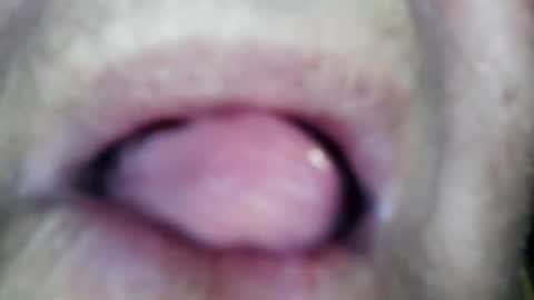 wayne1311 online show from 01/13/26, 02:22