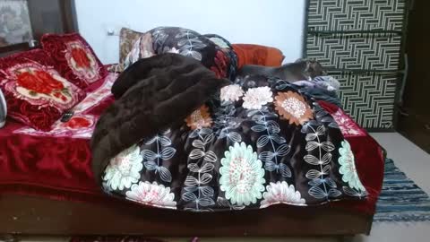 Snapshot of we_are_indian chatting on 12/23/24, 12:08 khushiwife kabirhubby kavyasexy gf online show from 12/23/24, 12:08