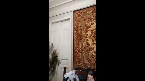 Marina online show from 02/26/25, 04:14