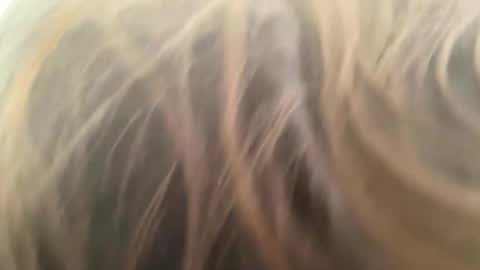 weedwacker43 online show from 03/01/26, 03:25