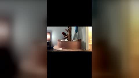 Mrmrs VIP online show from 03/19/26, 11:53