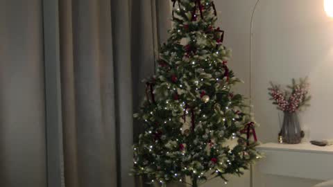 CAREN online show from 01/08/25, 12:47