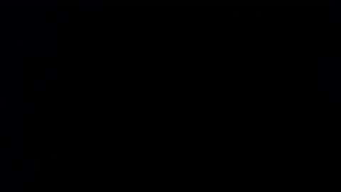 wellingtont online show from 09/25/25, 03:43