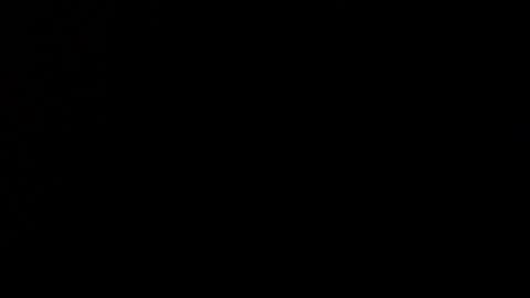 wellingtont online show from 12/21/25, 09:27