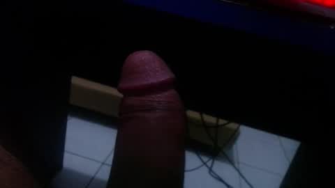 wellingtont online show from 12/22/25, 04:42