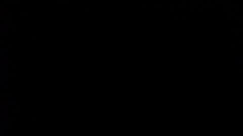 wellingtont online show from 02/01/26, 11:36