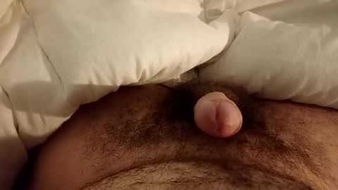 Snapshot of werty99999 chatting on 12/12/24, 11:47 Werty online show from 12/12/24, 11:47