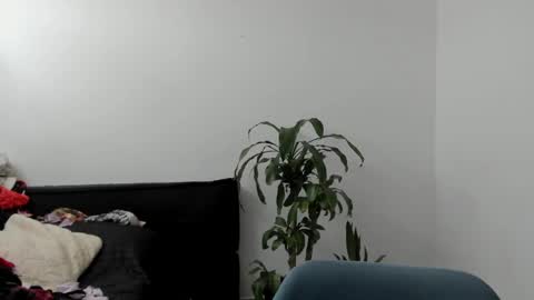 Snapshot of west_ta chatting on 09/17/25, 04:08 tatty online show from 09/17/25, 04:08