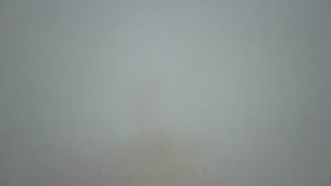 wet_pussieyy online show from 11/10/25, 03:00