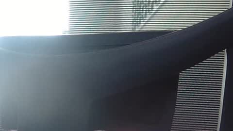 Wetbigdickstream online show from 06/13/26, 12:14