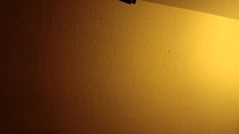 wetduck77777 online show from 06/08/26, 06:47