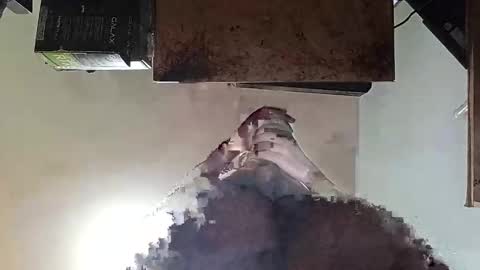 whatsexo online show from 09/19/25, 07:10