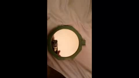 whetedoyouwantmetoputit online show from 03/22/26, 10:02