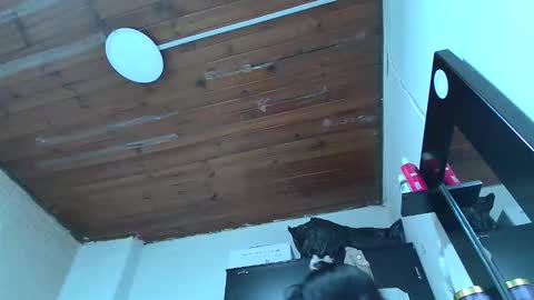 white_sexy_ online show from 01/10/26, 11:09