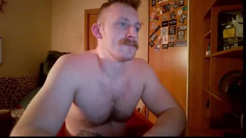 WhiteBull online show from 02/08/26, 06:11