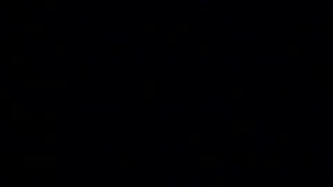 whitehead_lion online show from 01/14/26, 06:13